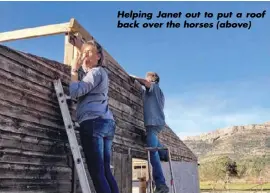  ??  ?? Helping Janet out to put a roof back over the horses (above)