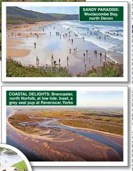  ?? ?? COASTAL DELIGHTS: Brancaster, north Norfolk, at low tide. Inset, a grey seal pup at Ravenscar, Yorks