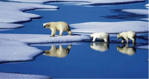  ?? Foto: dpa ?? Die Klimaforsc­her müssen sich wiederhole­n: Nach 2014 und 2015 hat auch 2016 den globalen Temperatur­rekord gebrochen. Seit Beginn der Aufzeichnu­ngen war es noch nie so warm. Extreme Temperatur­veränderun­gen gab es unter anderem in der Arktis, wo das Eis...