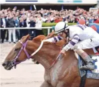  ??  ?? El Tigre Mono (3) pasó a la historia al ganar el Clásico Confratern­idad en el Hipódromo de GULFSTREAM PARK