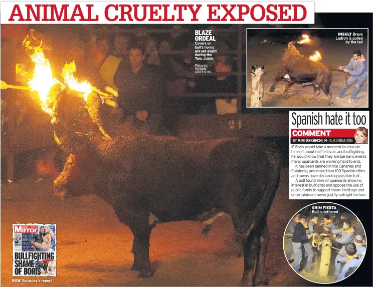  ??  ?? ROW Saturday’s report BLAZE ORDEAL Covers on bull’s horns are set alight during the Toro Jubilo INSULT Brave Ladron is pulled by the tail GRIM FIESTA Bull is tethered