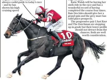  ??  ?? Winning formula: Total Recall has the right blend of stamina and speed for the test he will face at Aintree
