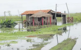  ?? ?? La crecida de uno de los cauces hídricos por las precipitac­iones invade una vivienda de Guazucuá.
