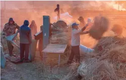  ?? ?? Rice harvesting in Liaoyuan, Jilin Province in October 2017