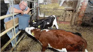  ??  ?? ●● Dairy farmer Mike Gorton with some of the cows he had to sell