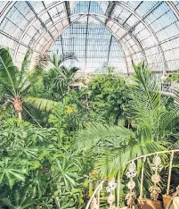  ?? DREAMSTIME ?? London’s Kew Gardens, which grows a range of tropical plants, is one example of the U.K.’s long history of greenhouse­s.