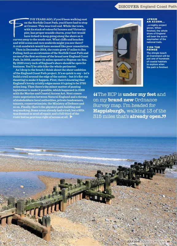  ??  ?? FROM AN ACORN... ...a mighty project grows. When finished, the whole shore of England will bear the acorn waymarker of the national trails. ON THE FRINGE The shingle beach at Overstrand will be just one of hundreds of coastal habitats to explore when the path is finished.