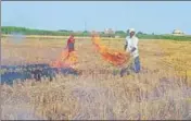  ?? HT PHOTO ?? Farmers burn crop waste at a village in Karnal district on Thursday.