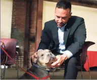  ?? Paul Chinn / The Chronicle ?? Jarrod Wise of the Better Business Bureau pets Sam, a pitbull mix rescued from Hurrican Irma and up for adoption at the Berkeley Humane animal shelter in Berkeley, Calif., on Sept. 26, 2017. A study released by the BBB reports that tens of thousands of consumers have been scammed by fraudulent pet breeders.