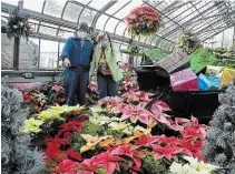  ?? JOHN LAW TORSTAR ?? Fort Erie’s Amy and Alan Roebuck make their annual trek to the poinsettia show at the Floral Showhouse Sunday.