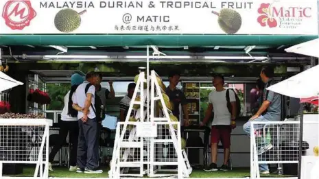  ?? [ FOTO ZUNNUR AL-SHAFIQ / BH ] ?? Trak durian di pekarangan letak kereta MATIC beroperasi setiap hari mulai jam 10 pagi hingga lewat malam.