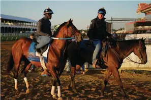  ?? The Associated Press ?? Preakness entrant Epicenter, left, the runner up in the Kentucky Derby, leaves the track after a workout ahead of the Preakness Stakes at Pimlico Race Course Wednesday in Baltimore.