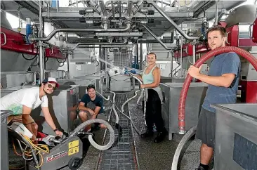  ?? SCOTT HAMMOND/ STUFF ?? Cellar hands at Saint Clair Family Estate Winery, from left, David Ledezmo, Liezl Pretorius, Laura Cacciatore and Kyle Wallis are ready for the grapes to come into the press.