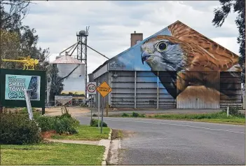  ??  ?? Feathered feature: Rusty the nankeen kestrel is the most recent artwork in Goorambat. It was painted by Jimmy Dvate in May, 2021.