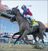  ?? STEVE HELBER/AP ?? Swiss Skydiver (4) with Robby Albarado aboard runs the rail for a win during Saturday’s Preakness Stakes.