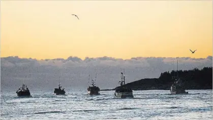  ?? ANDREW VAUGHAN THE CANADIAN PRESS FILE PHOTO ?? Fishing is so wide-ranging that fleets covered more than 460 million kilometres in 2016, a distance equal to going to the moon and back.