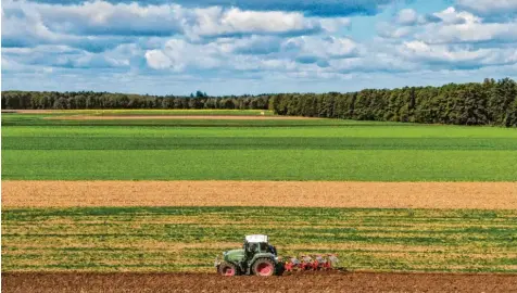  ?? Foto: Armin Weigel, dpa ?? Bayerns Staatsregi­erung will den Landwirten unter anderem mit Ausgleichs­zahlungen entgegenko­mmen, um dem Artenschut­z gerechter zu werden. Auch sollen einige heikle Punkte aus dem Volksbegeh­ren „Rettet die Bienen“abgemilder­t werden.