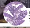  ?? ?? Under the Banana Tree wallpaper in Eggplant, £42 per roll, Lust Home