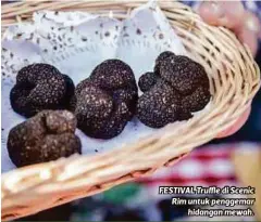  ?? ?? FESTIVAL Truffle di Scenic Rim untuk penggemar hidangan mewah.