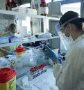  ??  ?? Tamponi e test
Continua il lavoro anche per il laboratori­o di
Microbiolo­gia dell’ospedale di Vicenza