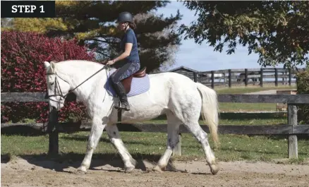  ??  ?? Before jumping, make sure your horse is wellschool­ed on the flat, able to lengthen and shorten his stride smoothly.