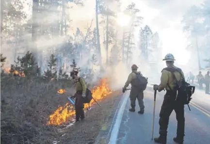  ??  ?? Firefighte­rs backburn to control the spread of a blaze in Custer State Park in South Dakota.