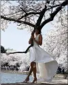  ?? JOSE LUIS MAGANA — AP ?? A visitor poses for picture as they walk by cherry blossom trees in full bloom on the National Mall in Washington, Tuesday, March 30, 2021.