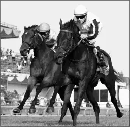  ?? MICHAEL BURNS ?? Quidura (right), who brought $3.6 million at Fasig-Tipton, is among the nominees to the Grade 1 Matriarch.