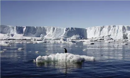  ??  ?? Melting ice in East Antarctica. The project, which expects to receive £9.4m in funding from the European commission, is expected to start in June 2020 Photograph: Reuters