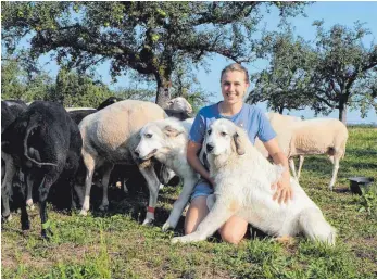  ?? FOTO: ELKE OBERLÄNDER ?? Mit ihrer Schäferin Simone Lederer knuddeln Baldo und Balu gern – aber sonst sind die Pyrenäen-Berghunde grimmige Beschützer ihrer Schafsfami­lie.