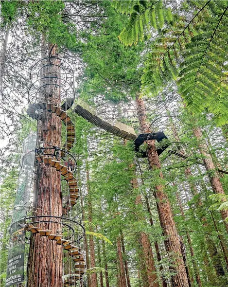  ?? BROOK SABIN/ STUFF ?? Left, Redwood Altitude is one of Rotorua’s newest attraction­s; top, a feast of nibbles before our glow-worm adventure.