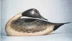  ?? ?? Drake pintail duck decoy