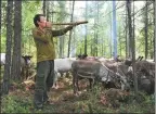  ??  ?? Hunter Suobin uses a “deer whistle” to summon wild deers at the reindeer spot in the hinterland of the Greater Khingan Mountains. This is the only deer whistle left in this reindeer tribe.