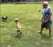  ?? TAWANA ROBERTS — THE NEWS-HERALD ?? Dean Baber of Ohio Disc Dogs helps 4-year-old Jack Havranek throw discs to dogs on July 14 at Lake Metroparks Farmpark FarmFest.