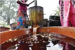  ??  ?? DIVO: Women press the pulp of the fruit of oil palms to make palm oil at an artisinal workshop in Divo. Ivory Coast is the world’s leading producer of cashew nuts and cola, along with cocoa. It also leads the field in Africa for banana growing and...