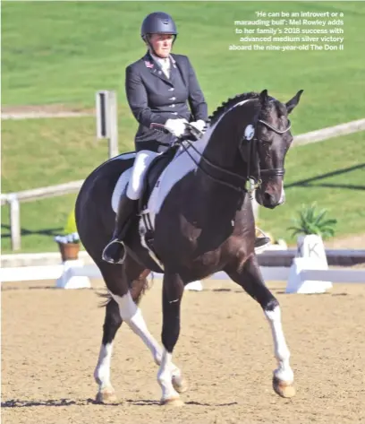  ?? By JO PRESTWICH ?? ‘He can be an introvert or a marauding bull’: Mel Rowley adds to her family’s 2018 success withadvanc­ed medium silver victory aboard the nine-year-old The Don II