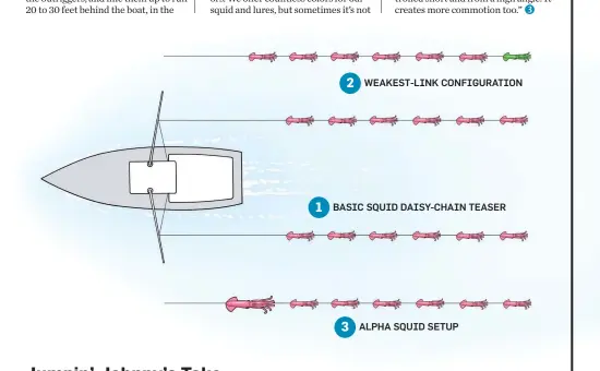  ??  ?? 2 WEAKEST-LINK CONFIGURAT­ION 1 BASIC SQUID DAISY-CHAIN TEASER 3 ALPHA SQUID SETUP