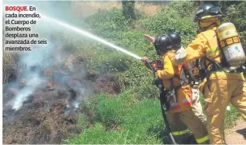  ??  ?? BOSQUE. En cada incendio, el Cuerpo de Bomberos desplaza una avanzada de seis miembros.