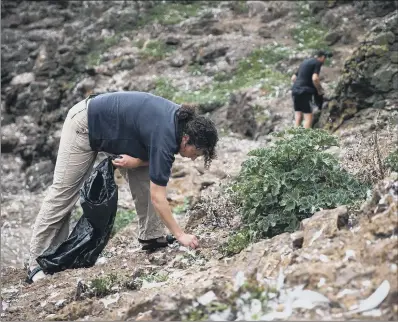  ?? PICTURES: PA. ?? HUMAN IMPACT: Experts from the National Trust and West Cornwall Ringing Group clearing Mullion Island of the elastic bands.