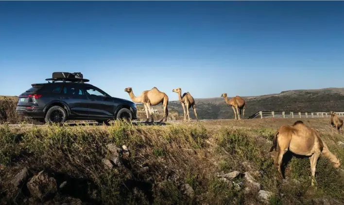  ?? ?? På samme måde som Cola Zero er den sundeste sodavand, er Q8 e-tron faktisk en ganske kompakt bil blandt store offroadere – og det er en fordel i smalle kløfter og spor. Fotos: Audi