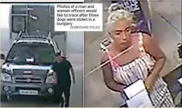  ?? DERBYSHIRE POLICE ?? Photos of a man and woman officers would like to trace after three dogs were stolen in a burglary