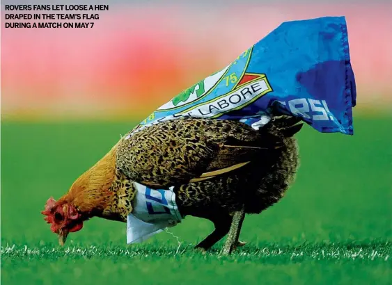  ?? GETTYIMAGE­S ?? ROVERS FANS LET LOOSE AHEN DRAPED IN THE TEAM’S FLAG DURING AMATCH ON MAY7