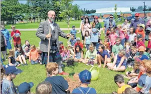  ?? ERIC MCCARTHY/JOURNAL PIONEER ?? Tignish horticultu­ralist Garth Davies peers from behind a tree as Tignish Elementary school students, from left, Benson Silliker, Evan McCue and Brogon Ellsworth help him plant it. Tignish students marked their final school day of the 2016-17 school...