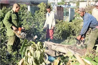  ?? | foto: Alejandro Acosta ?? Integrante­s de la brigada de motoserrer­os de Mayabeque en plena faena en el saneamient­o de la ciudad de Pinar del Río.