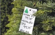  ?? JOSE CARLOS FAJARDO — STAFF PHOTOGRAPH­ER ?? A 7-foot Noble fir is being sold for $99.75 at Santa’s Winter Forest Christmas tree lot in Brentwood.