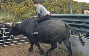  ?? Pictures: Wullie Marr. ?? The Scottish Tory leader toured the facility and met the staff and animals with owner Steve Mitchell.