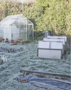  ?? ?? A frosty garden with greenhouse, main; checking winter veg, inset