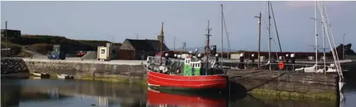  ??  ?? Am Hafen von Baltimore, an Bord eines Katamarans kann man Wale beobachten oder die Inseln erkunden, die zu charmanten Ausflügen einladen. Linke Seite: weitere Hafen-Impression­en, wie hier in Cobh oder Kinsale, mit seinen farbenfroh­en Häusern und der herrlichen Bucht.