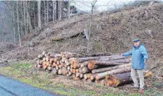  ?? FOTO: HOG ?? Bürgermeis­ter Hans Rieger lässt einen Mischwald pflanzen, wo Fichten im Gemeindewa­ld wegen Käferbefal­ls komplett gerodet werden mussten