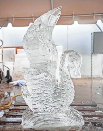  ?? PHOTOS BY ARIEL COBBERT/THE COMMERCIAL APPEAL ?? The ice sculpture of a swan sits under a tent at Southwest Tennessee Community College on Feb. 18.